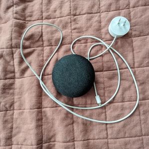 Google Home Mini